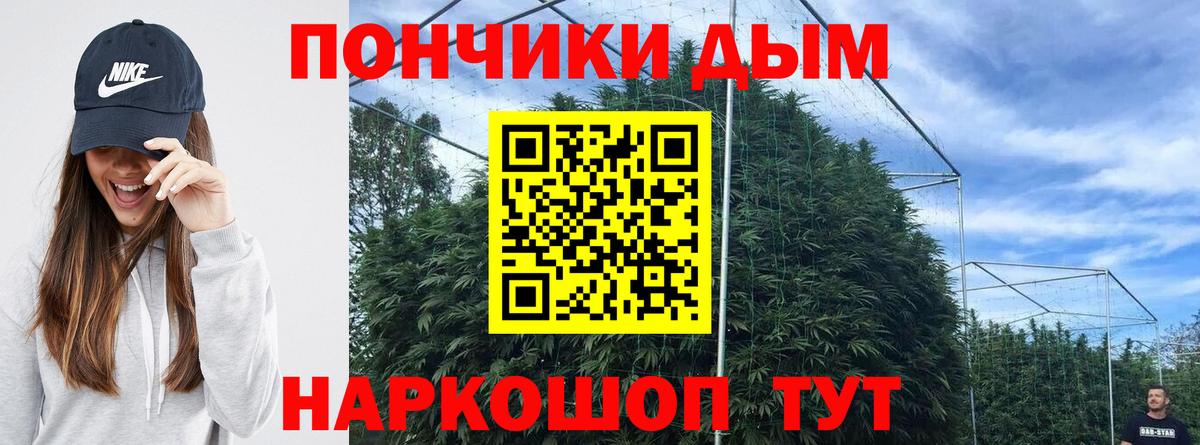 Конопля сатива Грязи